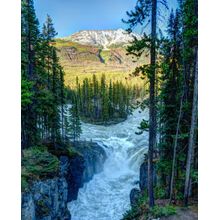 Sunwapta Falls Wall Mural