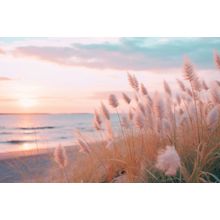 Pampas Grass On The Beach At Sunset Wall Mural