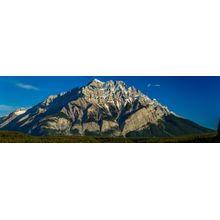 Cascade Mountain Rising Above Forest Wall Mural