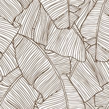 Banana Leaf Lines Pattern Wallpaper