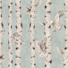 Birch and Owls - Blue Wallpaper