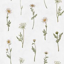 Dreamy Daisies Pattern Wallpaper