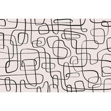 Thin Squiggly Lines Wall Mural