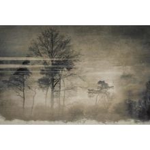 Old Forest Postcard Wall Mural