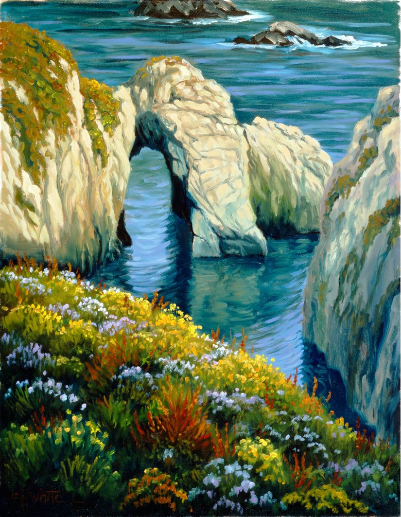 Last-Light-Point-Lobos-Wall-Mural