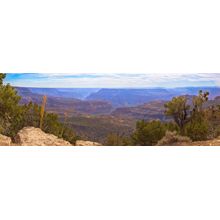Crazy Jug Point Panoramic Wall Mural