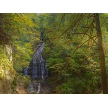 Moss Glen Falls Wall Mural