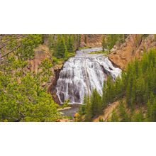 Gibbons Falls Wall Mural