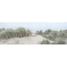 Grassy Sand Dunes On The Sea Coast Under Sky