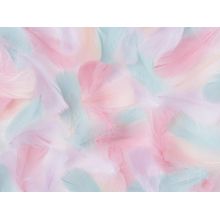 Multicoloured Soft Feathers Wall Mural