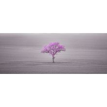 Lone Pink Tree Wall Mural