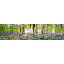 Pathway Through Bluebells Forest Panoramic Wall Mural