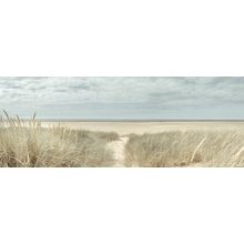 Grassy Sand Dunes On The Coast Wall Mural