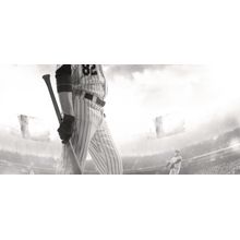 Baseball Batter Stepping In The Box Wall Mural