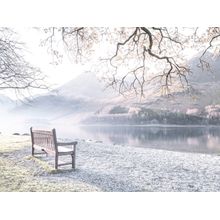 Bench Overlooking Still Lake Wall Mural