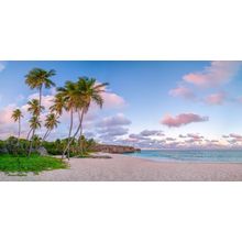 Tropical Beach At Dusk Wall Mural
