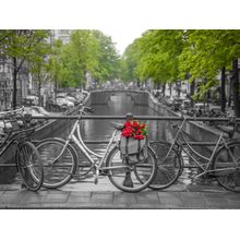 Bicycle With Flowers By The Canal Wall Mural