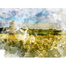 God's Creation Landscape Wall Mural