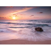 Seashells On The Beach Wall Mural
