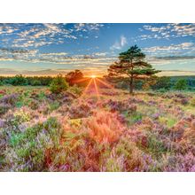 Beautiful Landscape In Countryside Wall Mural