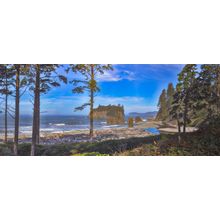 Ruby Beach Olympic National Park Wall Mural