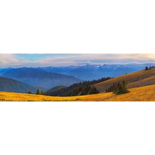 Hurricane Ridge Sunset Wall Mural