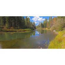 Truckee River Fall Reflections Wall Mural
