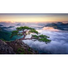 On The Rock Wall Mural