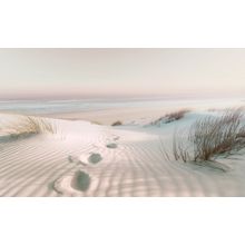 Footsteps To The Beach Wall Mural