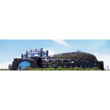 Bank of America Stadium In North Carolina Wall Mural
