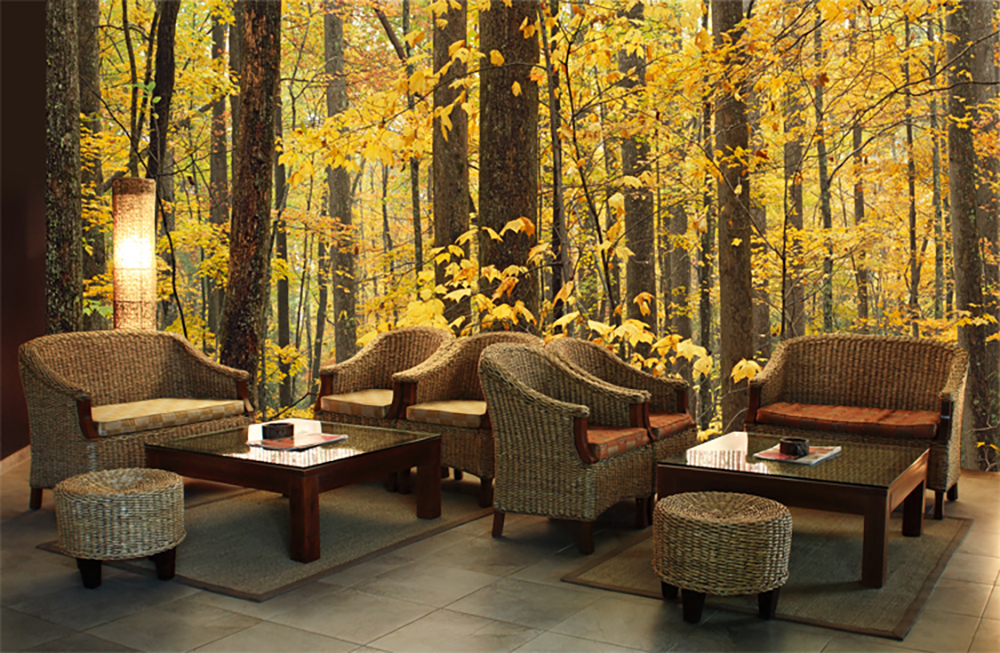 Yellow Autumn Forest Wall Mural Lobby