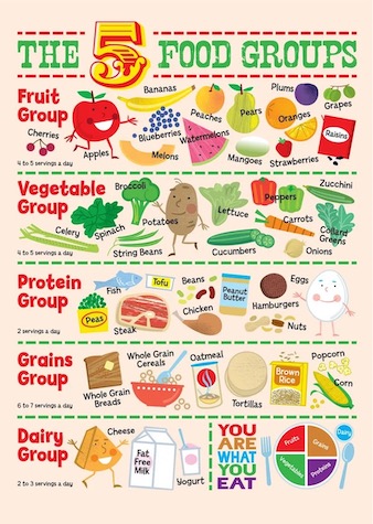 An illustration of the 5 food groups with examples of each group