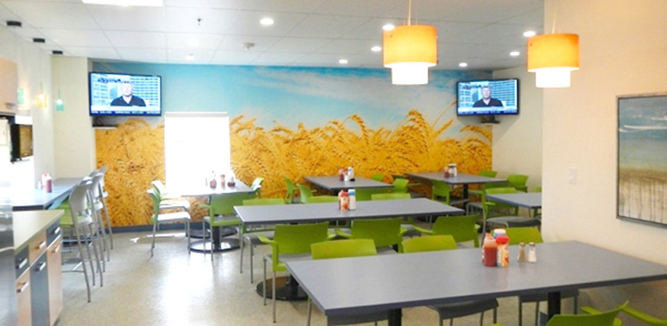 Golden Wheat Field Wall Mural In Employee Lunch Room
