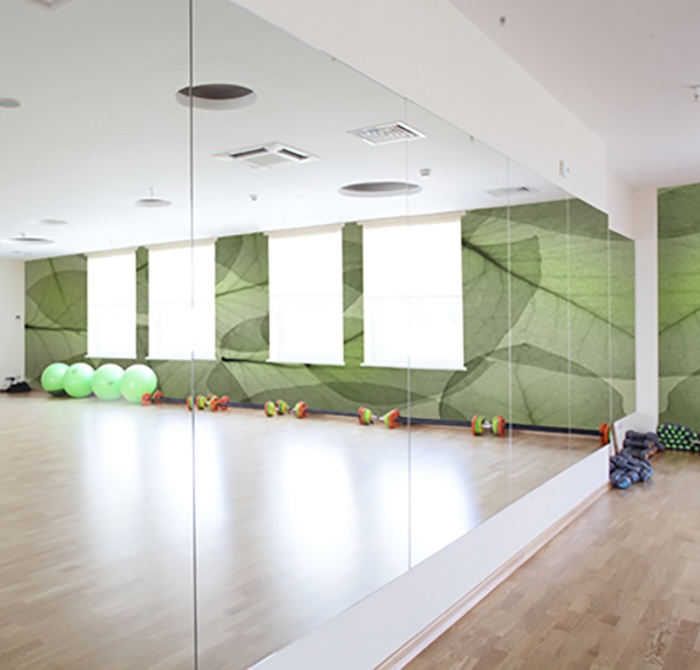 Eucalyptus Leaf Wallpaper Mural in Fitness Studio