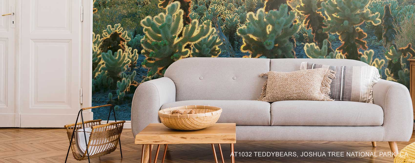 Teddybears, Joshua Tree National Park, CA Wallpaper Mural