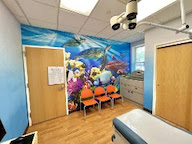 A wall mural in a doctors office of tropical fish and turtles in a reef