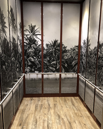 Palm tree mural in elevator