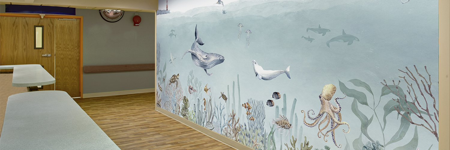 Sea life ocean creature watercolor illustration mural in pediatric reception 