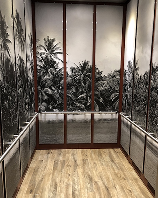 black and white palm tree island mural wrapping elevator interior