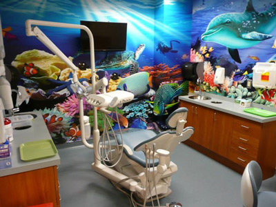 Dolphin Light Wallpaper Mural in dental office
