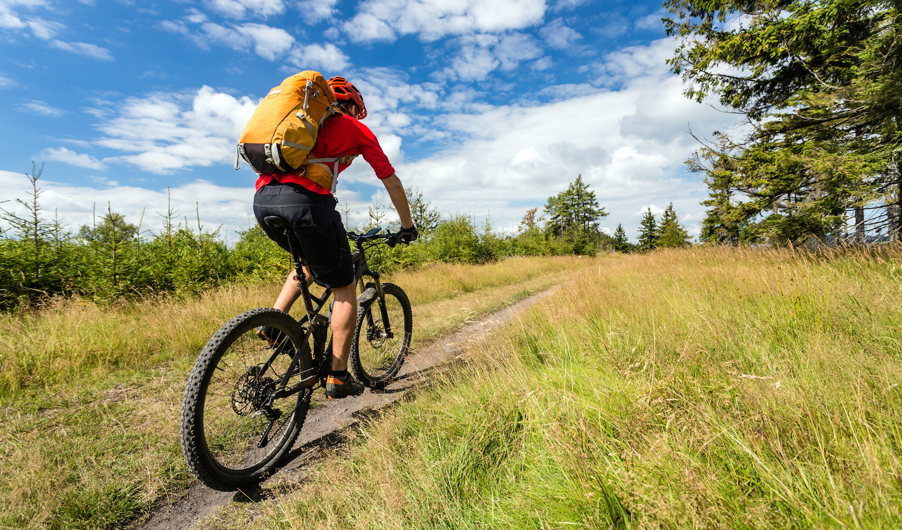 A mountain biker on a trail  in a meadow