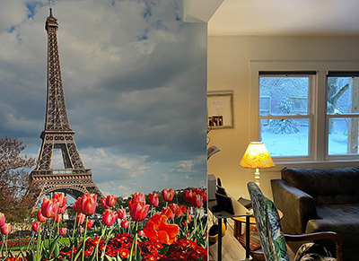 Tulips And Eiffel Tower Wall Mural in home
