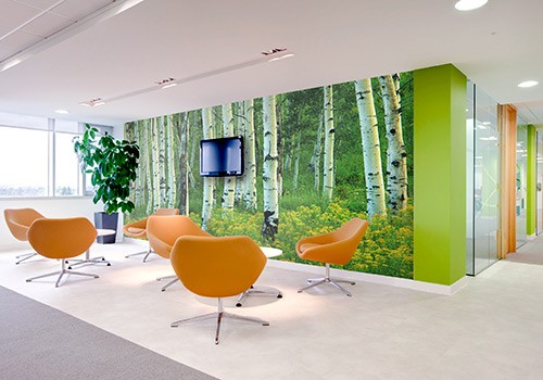 Aspen and Goldenrod Wallpaper Mural in office lounge space
