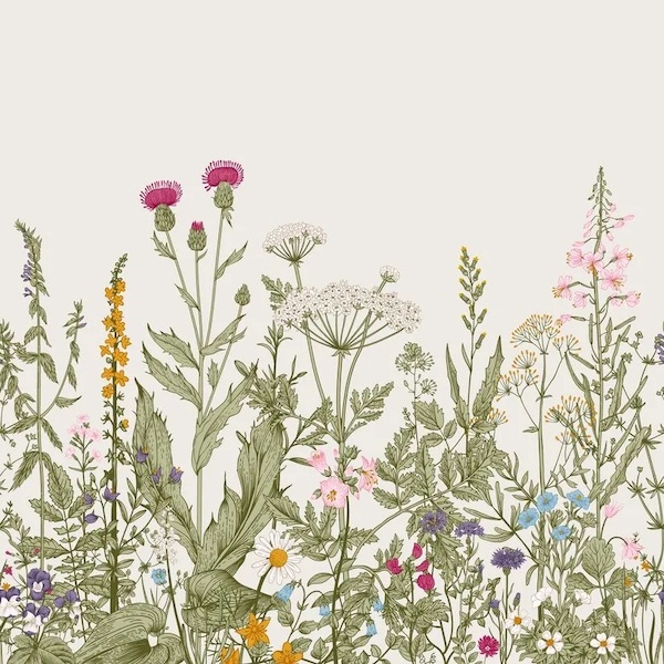 Engraved art with wildflowers along the bottom on a cream background