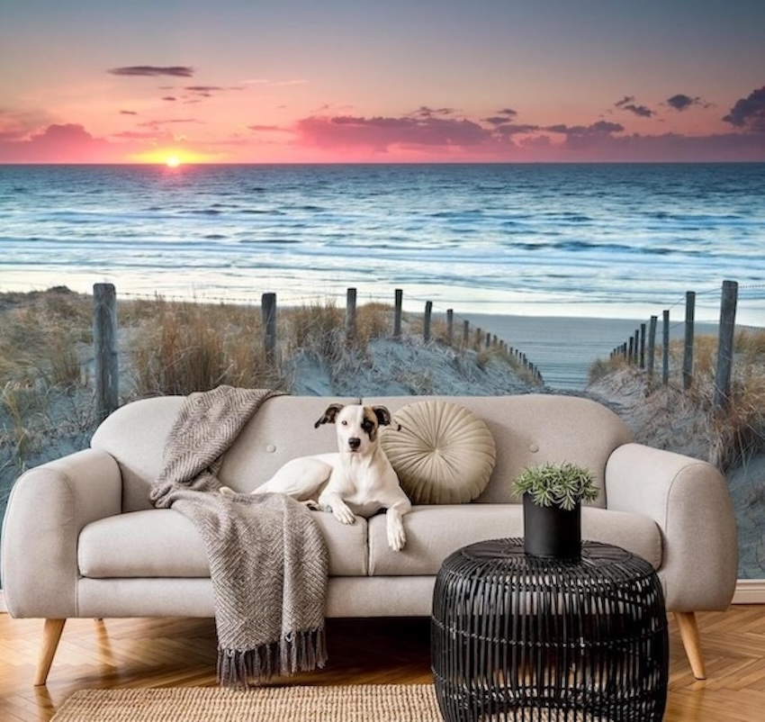 Mural of a colorful sunset and sand path leading to the beach behind a couch with a dog sitting on it
