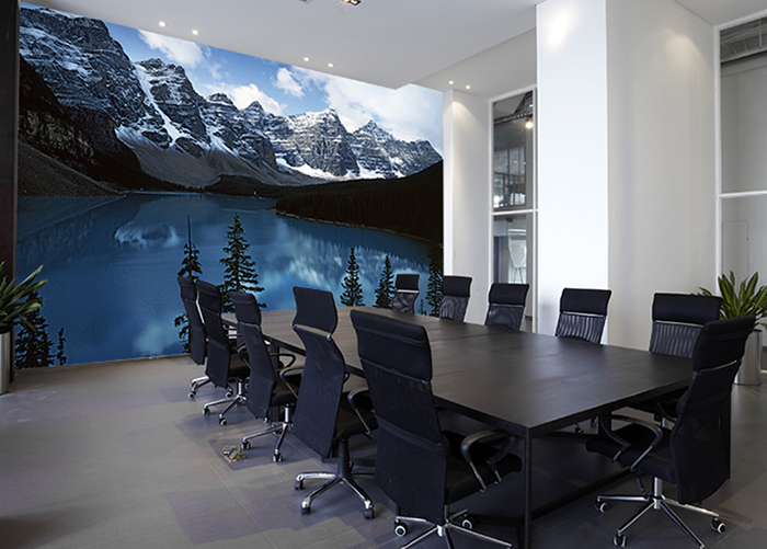 Mural of mountain lake in a conference room