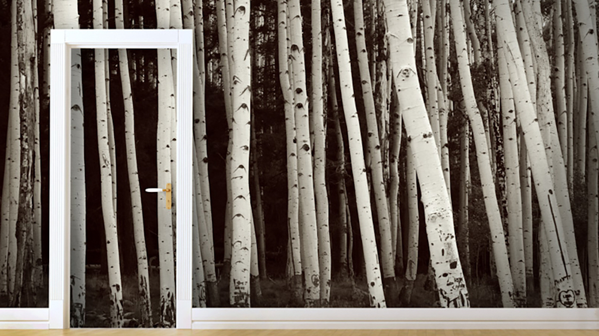 Black and white aspen tree forest mural covering a wall with a door