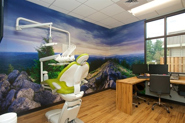 Wall Mural Of An Evening View From A Rocky Mountain Top In A Dental Exam Room