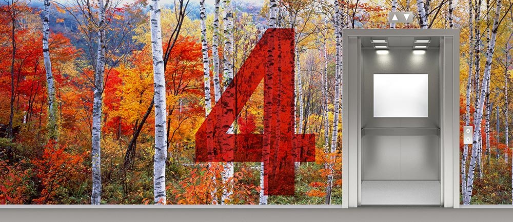 Fall Wall Mural Of Aspen Trees In The Mountains Surrounding An Elevator On 4th Floor