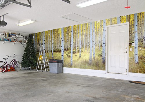 Aspens, Ashley National Forest, UT Mural Wallpaper in garage